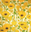 Goldfinch Store logo